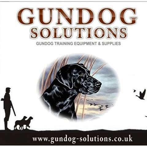 Gundog Solutions photo